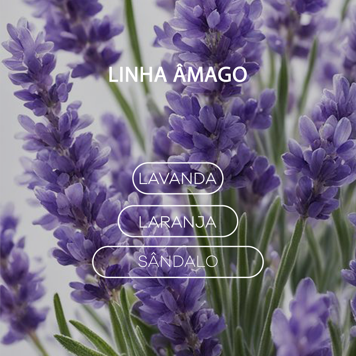 Sachê Perfumado - Linha Âmago - Amadeirado - 20g