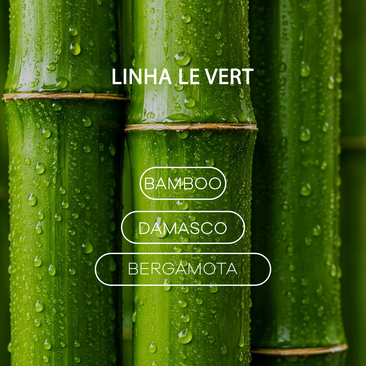 Sachê Perfumado - Linha Le Vert - Bamboo - 20g