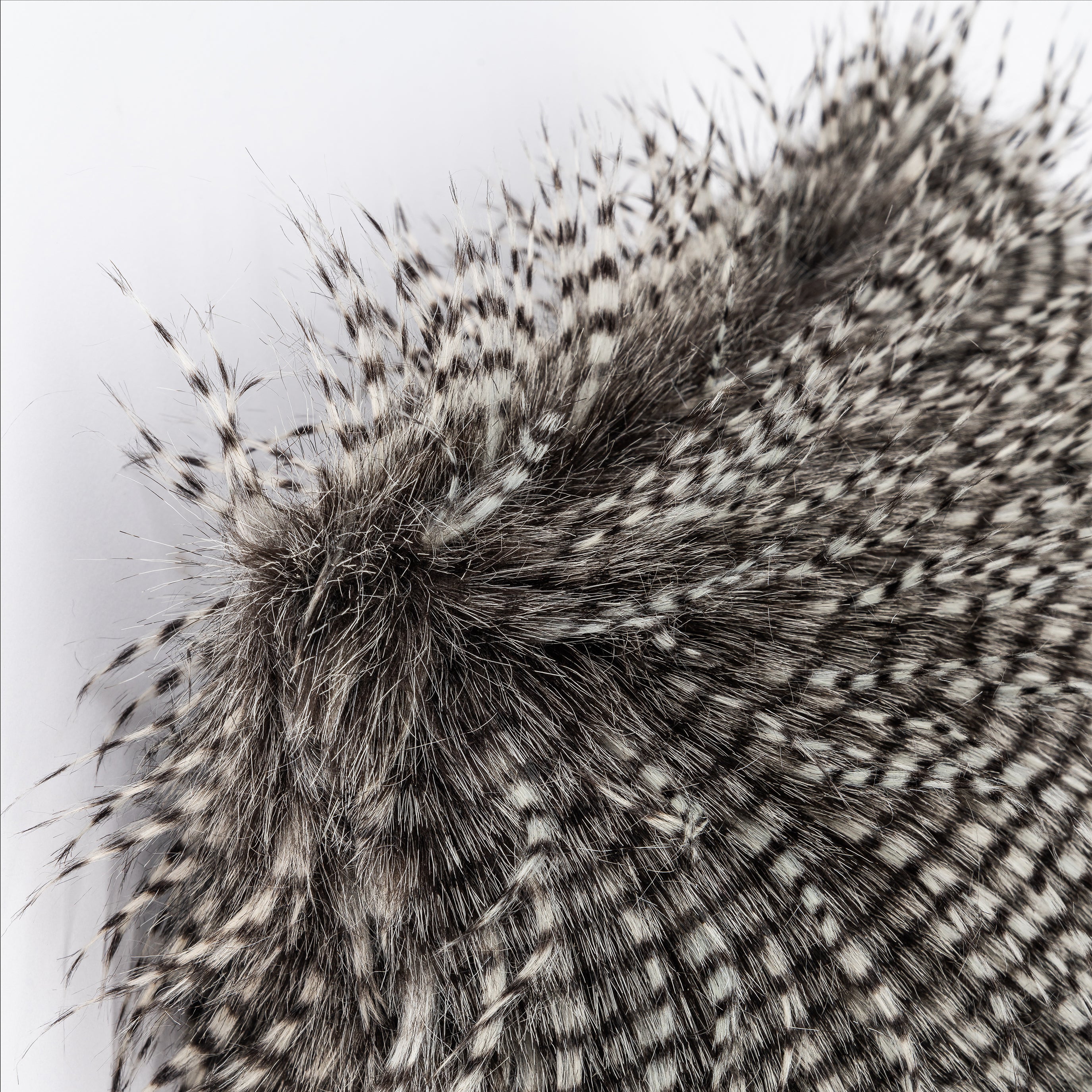 Capa de Almofada Fantasy