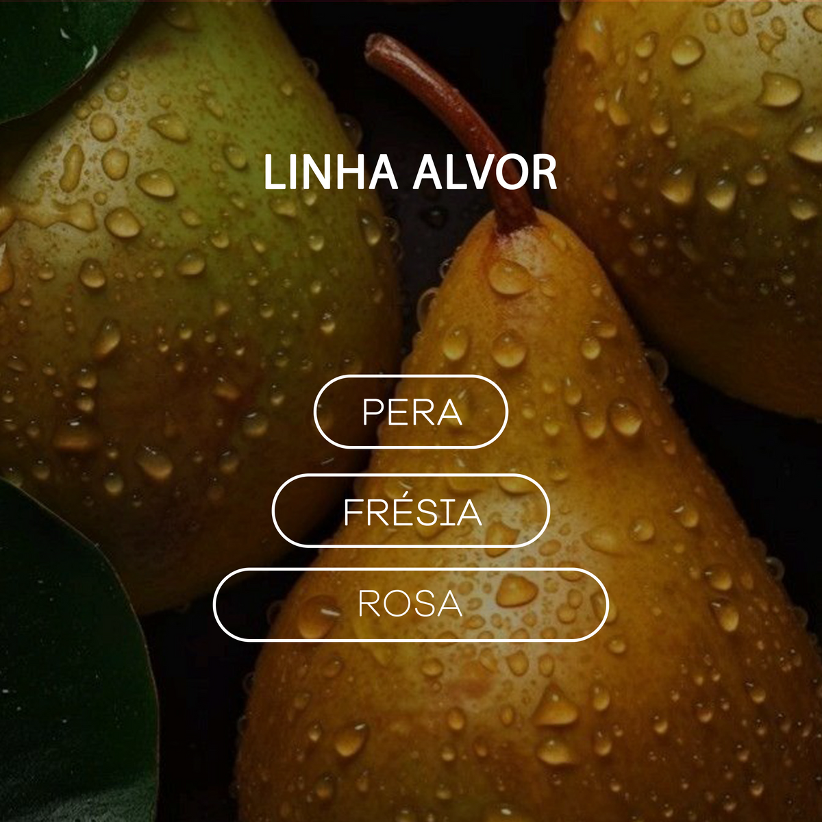 Difusor de Ambiente - Alvor - Pera - Cítrico Adocicado