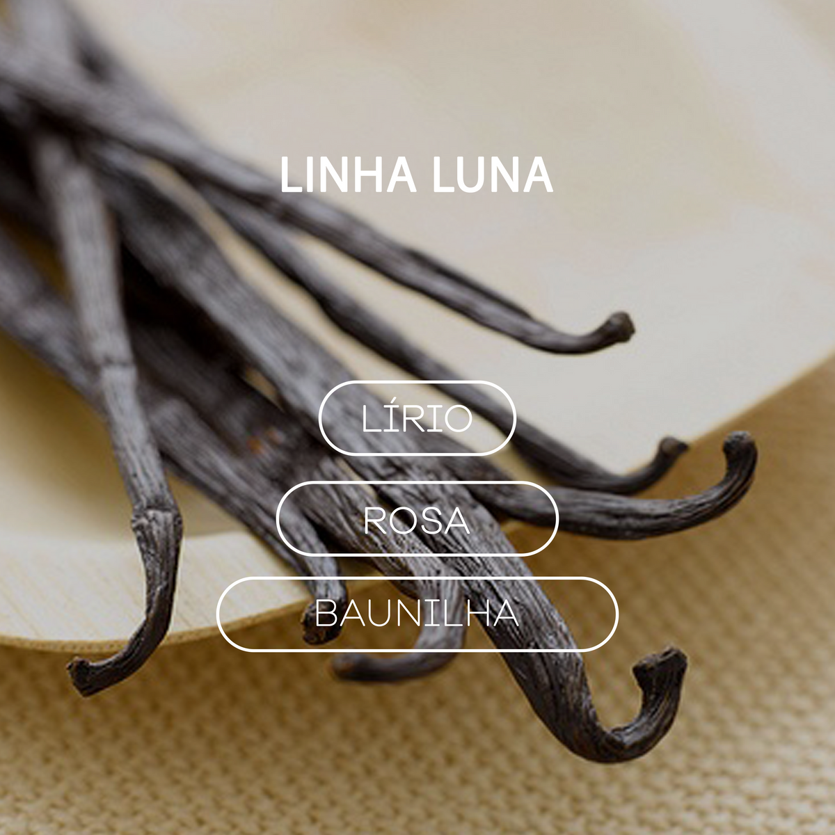 kit Home Spray + Difusor de Ambiente - Linha Luna